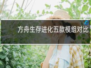 方舟生存进化五款模组对比