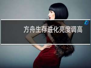 方舟生存进化亮度调高