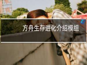 方舟生存进化介绍模组