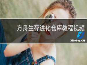方舟生存进化仓库教程视频