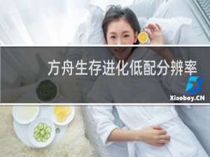 方舟生存进化低配分辨率