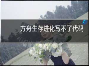 方舟生存进化写不了代码