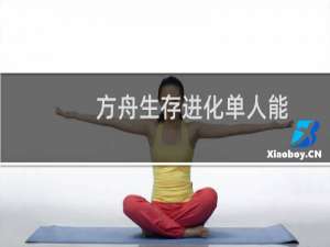 方舟生存进化单人能