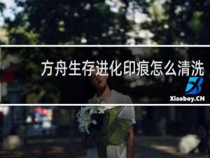 方舟生存进化印痕怎么清洗