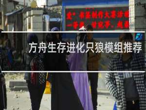 方舟生存进化只狼模组推荐