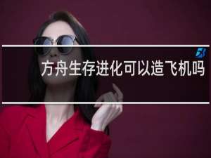 方舟生存进化可以造飞机吗