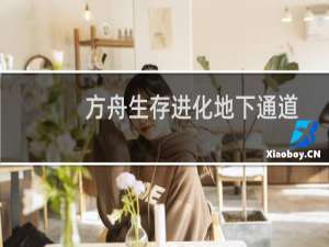 方舟生存进化地下通道