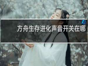 方舟生存进化声音开关在哪