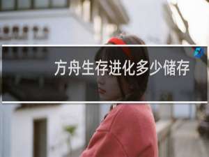 方舟生存进化多少储存