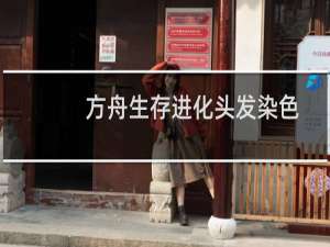 方舟生存进化头发染色