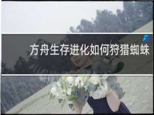 方舟生存进化如何狩猎蜘蛛