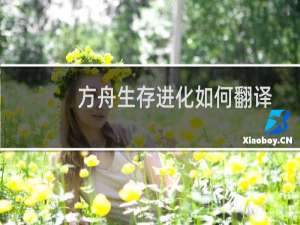 方舟生存进化如何翻译