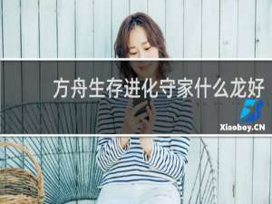 方舟生存进化守家什么龙好