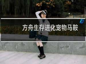 方舟生存进化宠物马鞍