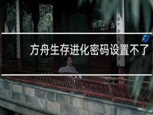 方舟生存进化密码设置不了