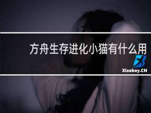 方舟生存进化小猫有什么用