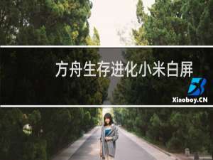 方舟生存进化小米白屏