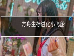 方舟生存进化小飞船
