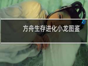 方舟生存进化小龙图鉴