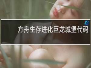方舟生存进化巨龙城堡代码