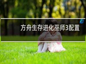 方舟生存进化巫师3配置