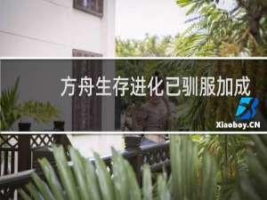 方舟生存进化已驯服加成