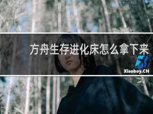 方舟生存进化床怎么拿下来