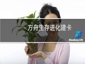 方舟生存进化建卡