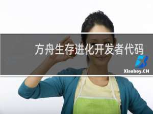 方舟生存进化开发者代码