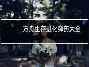 方舟生存进化弹药大全