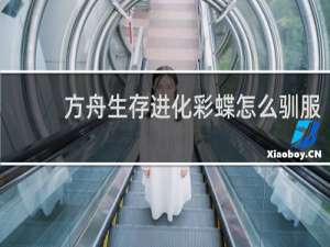 方舟生存进化彩蝶怎么驯服