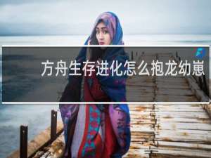 方舟生存进化怎么抱龙幼崽