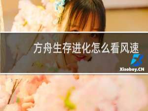 方舟生存进化怎么看风速