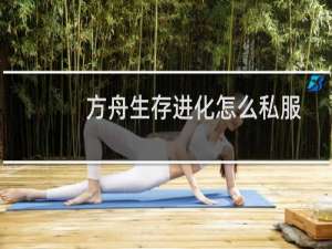 方舟生存进化怎么私服