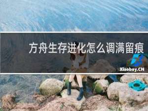 方舟生存进化怎么调满留痕