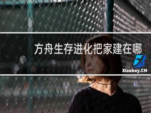 方舟生存进化把家建在哪