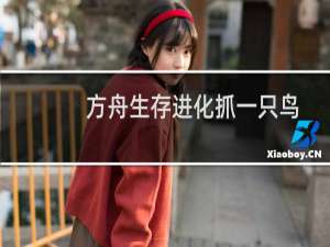 方舟生存进化抓一只鸟