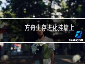 方舟生存进化挂墙上