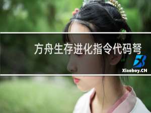 方舟生存进化指令代码弩