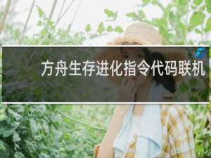 方舟生存进化指令代码联机