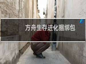 方舟生存进化捆绑包