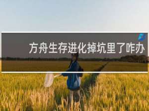 方舟生存进化掉坑里了咋办