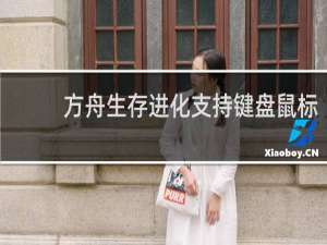 方舟生存进化支持键盘鼠标