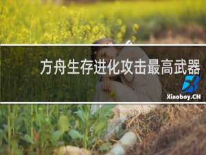 方舟生存进化攻击最高武器