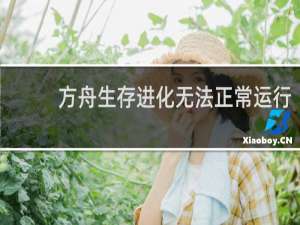 方舟生存进化无法正常运行