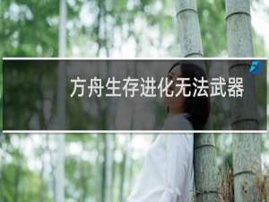 方舟生存进化无法武器