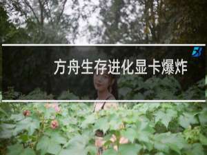方舟生存进化显卡爆炸
