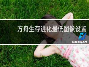 方舟生存进化最低图像设置