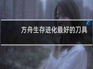 方舟生存进化最好的刀具