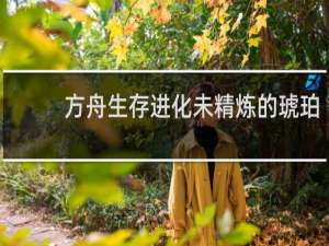 方舟生存进化未精炼的琥珀